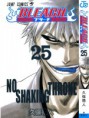 /album/powerful-wolves-4-ever/bleach-volume25-cover-jpg/