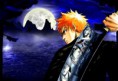/album/photogallery/bleach-myichigo1600-jpg1/